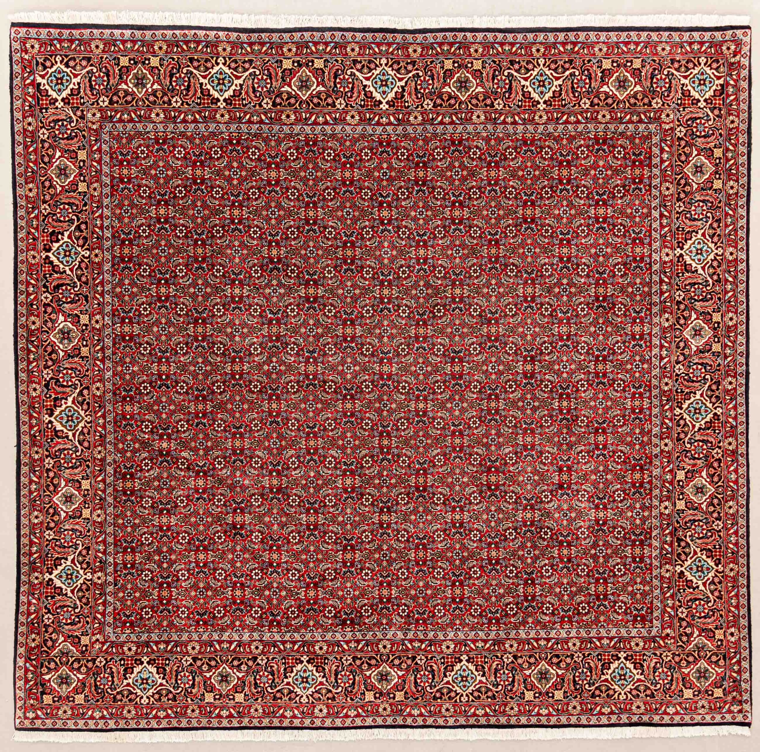 Bidjar Klassiske tæpper Persiske tæpper | Ægte persiske tæpper | Eksklusivt design