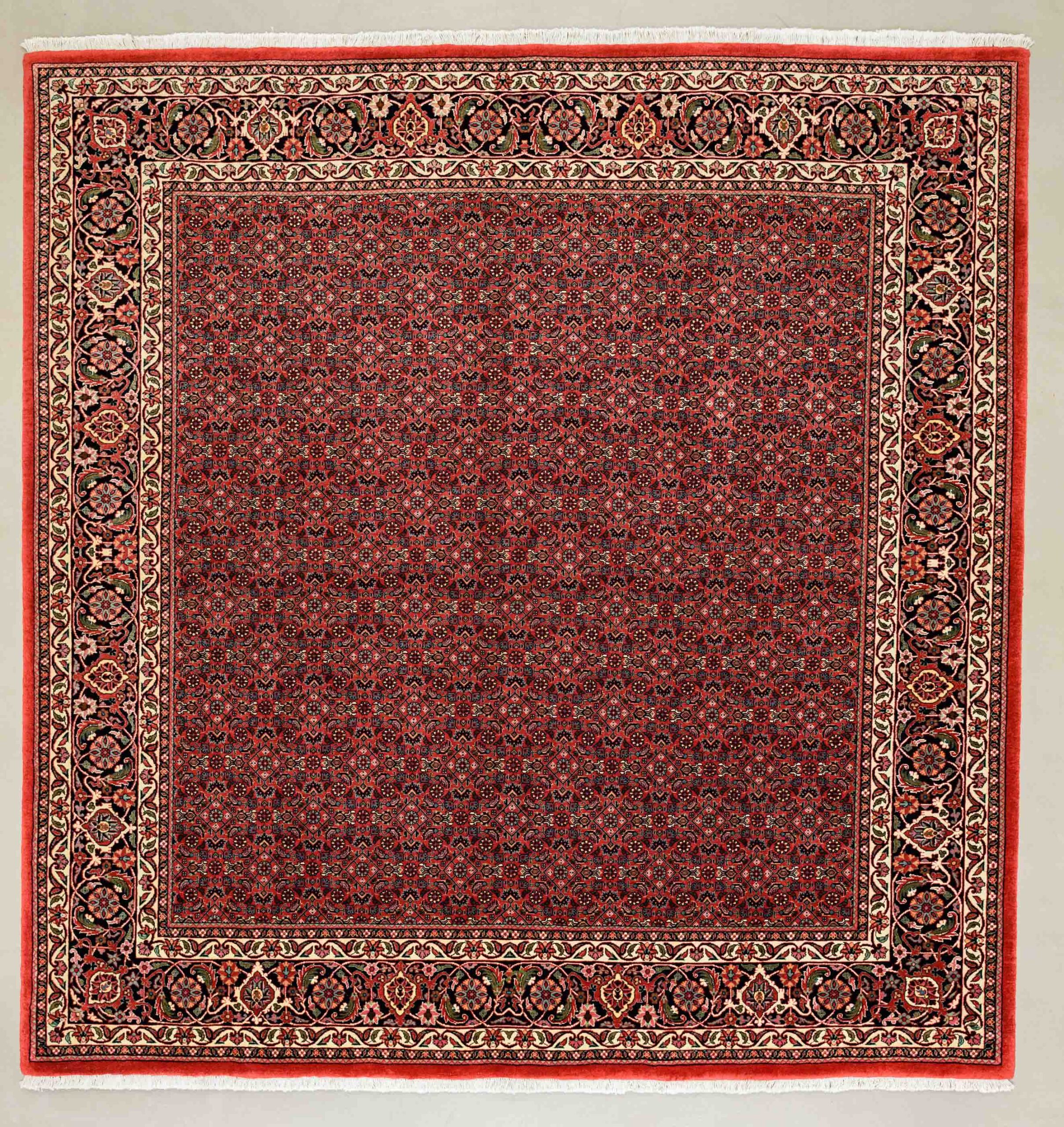 Bidjar