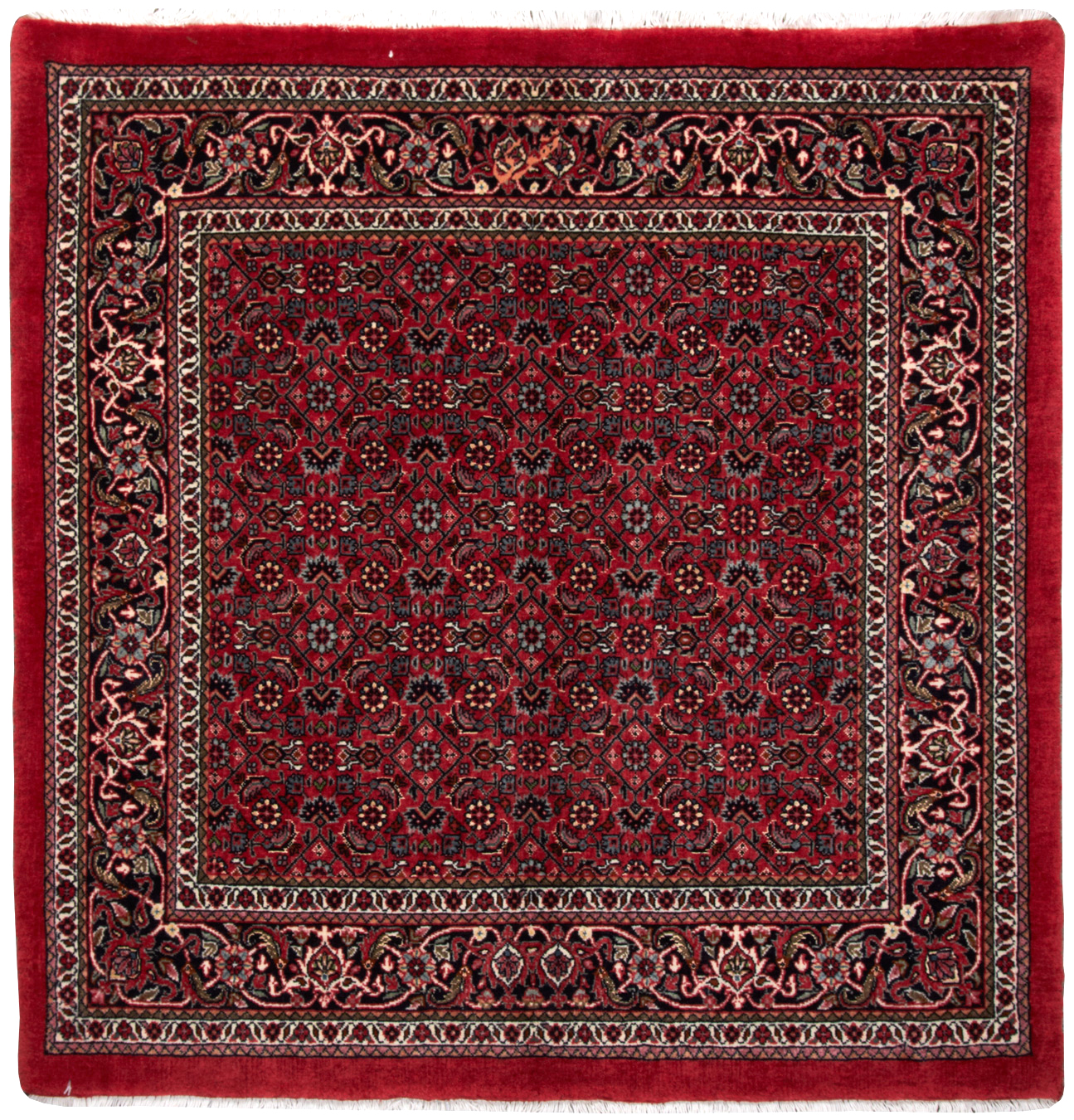 Bidjar Klassiske tæpper Persiske tæpper | Ægte persiske tæpper | Eksklusivt design