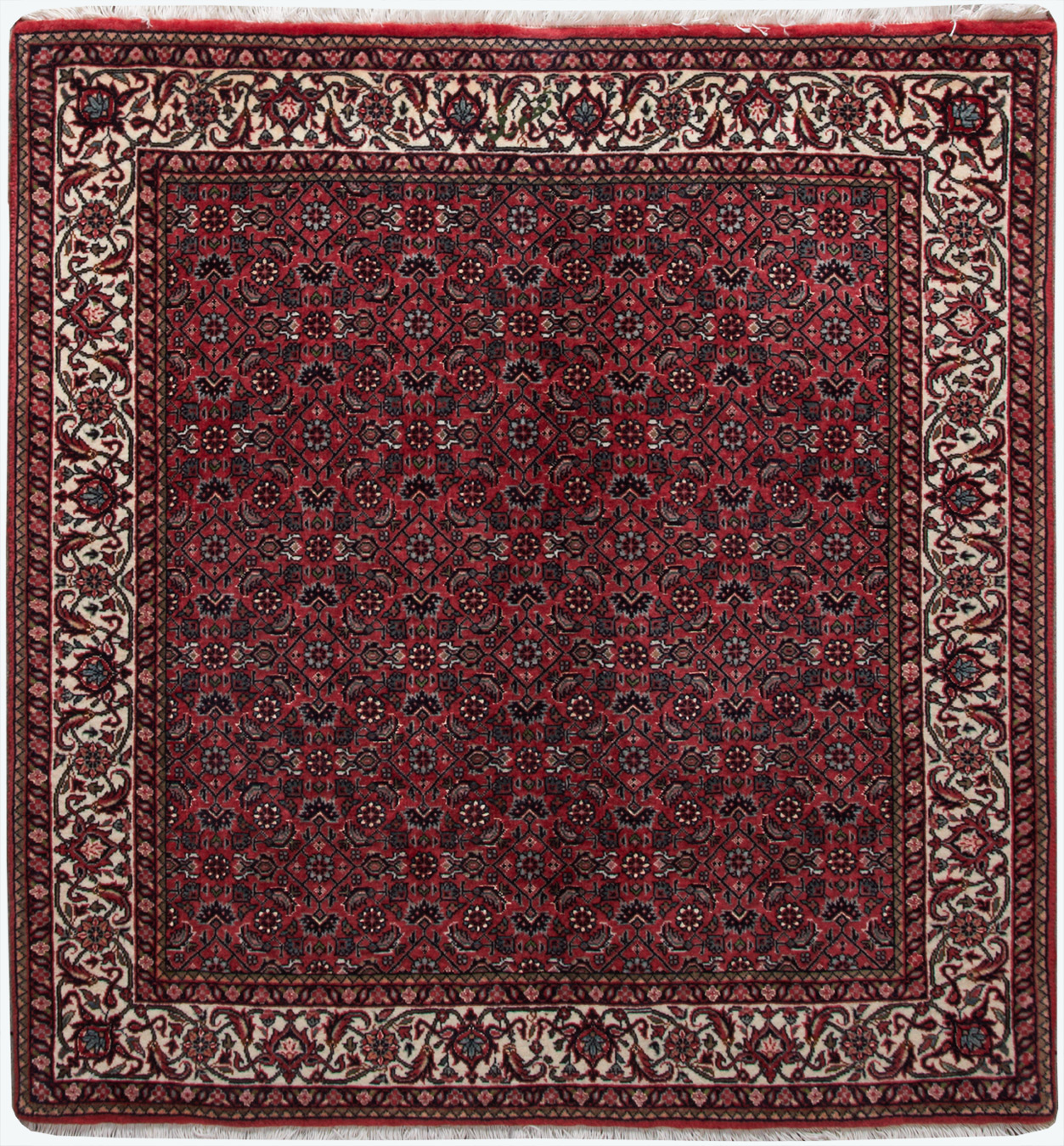 Bidjar Klassiske tæpper Persiske tæpper | Ægte persiske tæpper | Eksklusivt design