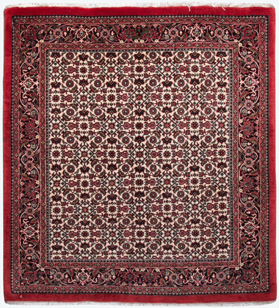 Bidjar Klassiske tæpper Persiske tæpper | Ægte persiske tæpper | Eksklusivt design