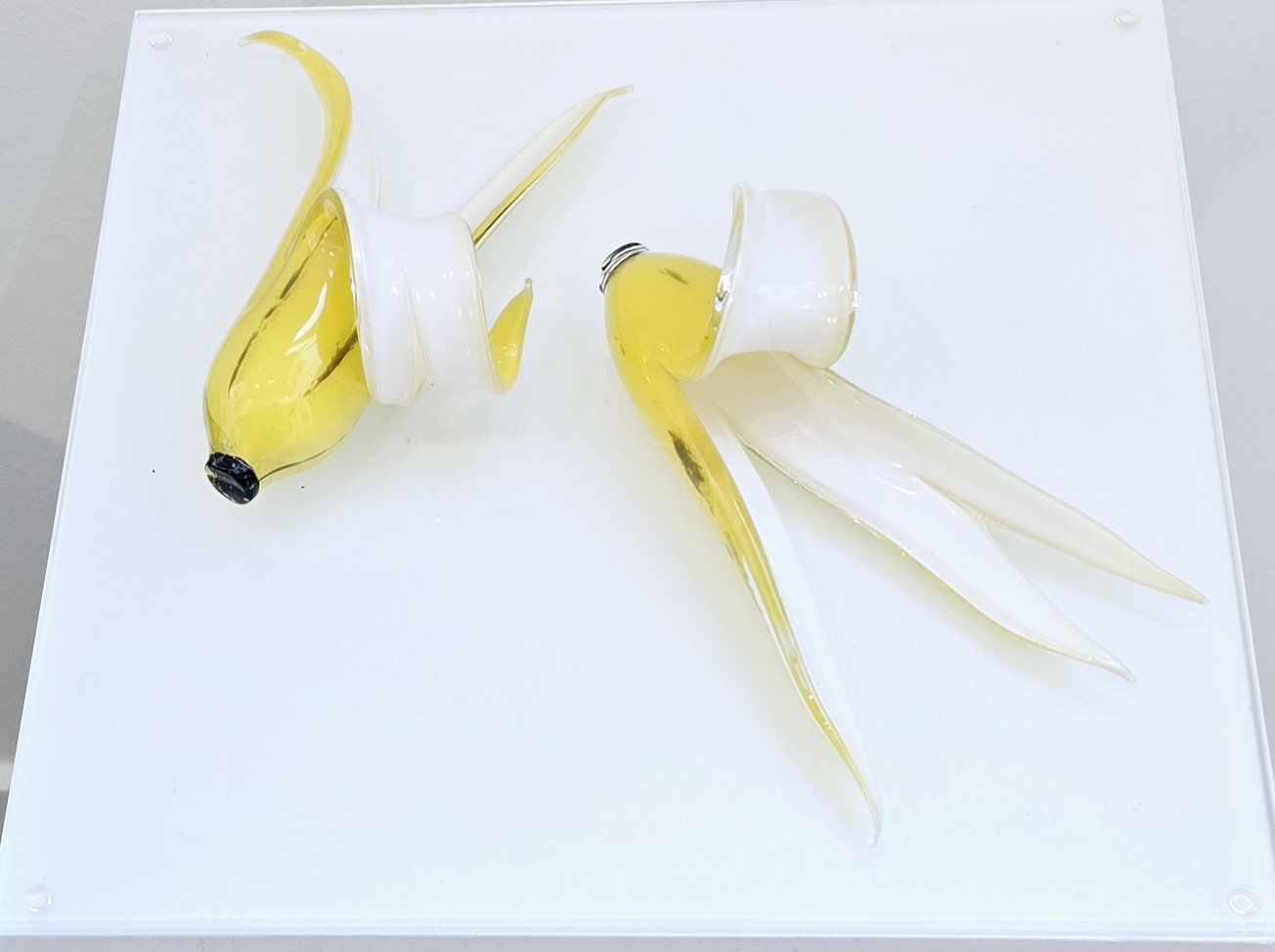 Banan Kunst Ned Cantrell | Kunstværker af Ned Cantrell | Se udvalget her