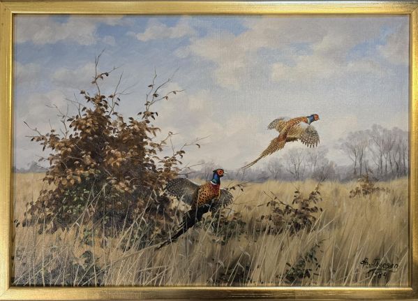 Fasaner Maleri Køb Axel Thuesen malerier | Stort udvalg