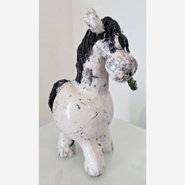 Hest