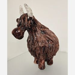 Long Horn