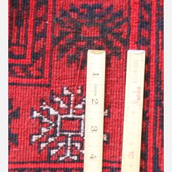 Afghan