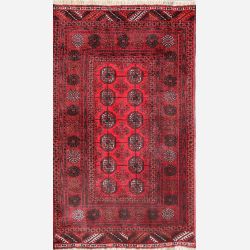 Afghan