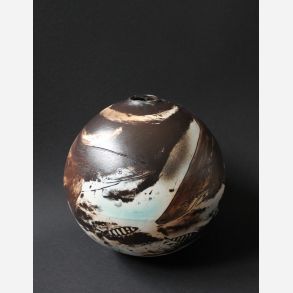 Oceanisk hvidtippet haj