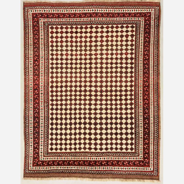 Afghan