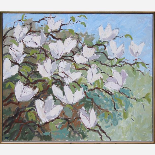 Magnolia