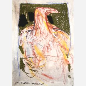 Ornitologisk arrogance