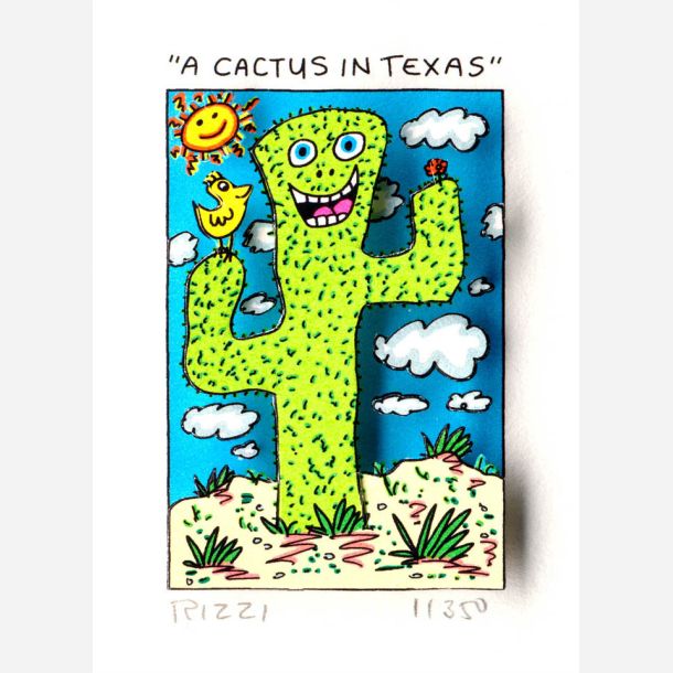 A cactus in Texas